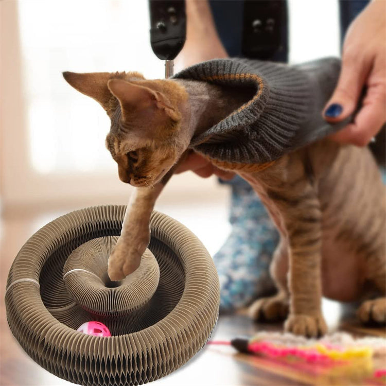 Magic Organ Cat Scratching Board